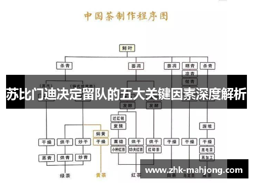 苏比门迪决定留队的五大关键因素深度解析